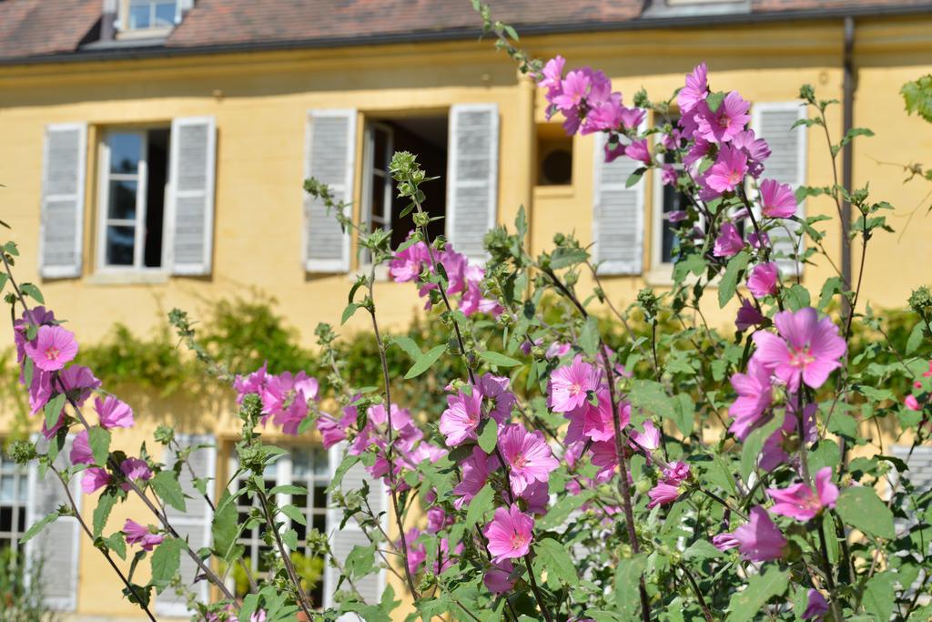 파리 Charmilles Des Cordeliers B&B 외부 사진