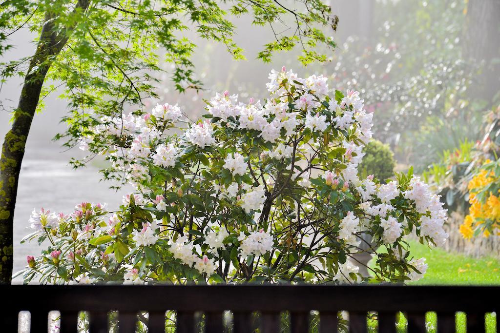 파리 Charmilles Des Cordeliers B&B 외부 사진