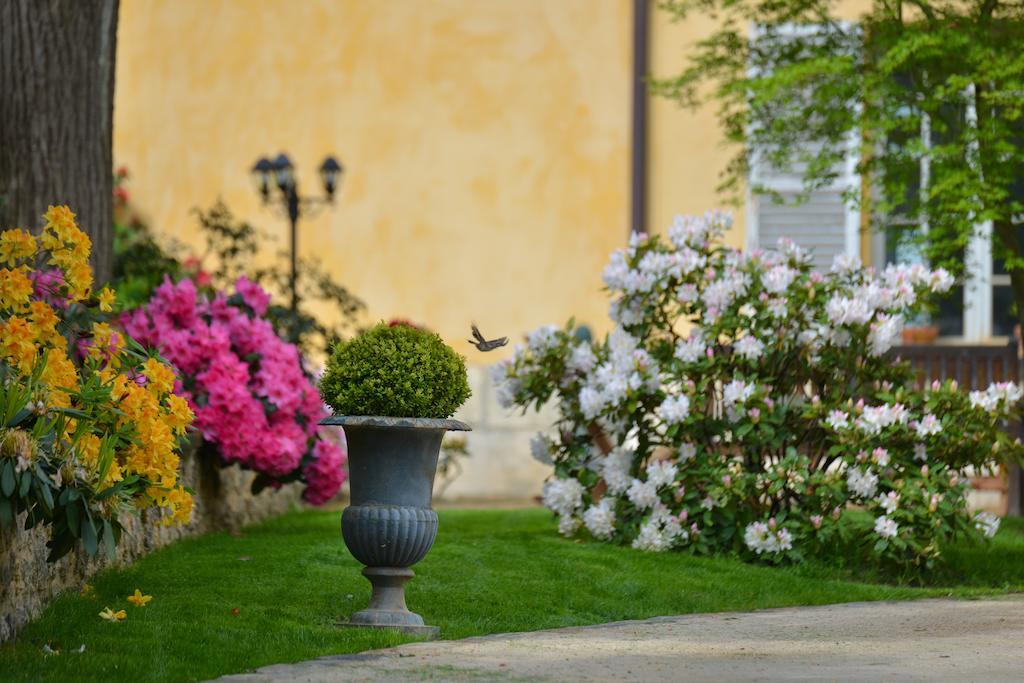 파리 Charmilles Des Cordeliers B&B 외부 사진